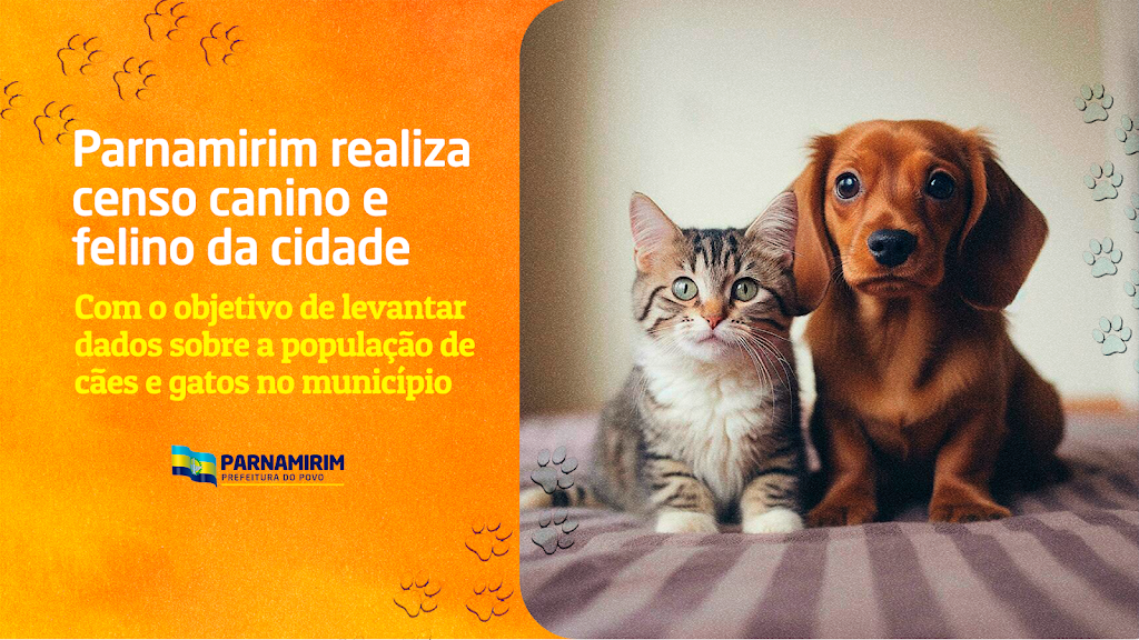 Parnamirim inicia Censo Canino e Felino para mapear população de cães e gatos na cidade.